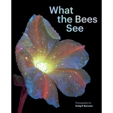 (英文圖書) What the Bees See: A Honeybee's Eye View of the World 精裝版, Chronicle Books, 英文