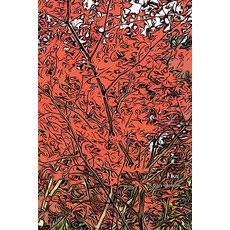 (英文圖書) Aka 平裝版, Independently Published, 英文