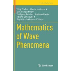 Mathematics of Wave Phenomena 精裝版, Birkhauser, 英文