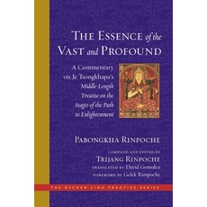 The Essence of the Vast and Profound: A Commentary on Je Tsongkhapa's Middle-Length Treatise on the ... 精裝版, Wisdom Publications, 英文