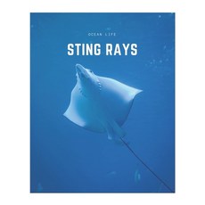 (英文圖書) Sting Rays: A Decorative Book &#9474; Perfect for Stacking on Coffee Tables & B... 平裝版, Independently Published, 英文