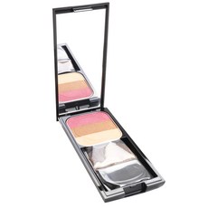 SHISEIDO 資生堂 臉部遮瑕3色組 7g, 1盒, RS1 Plum