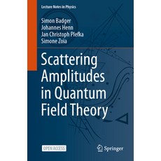 (英文圖書) Scattering Amplitudes in Quantum Field Theory 平裝版, Springer, 英文