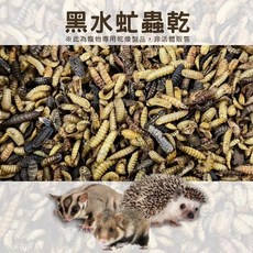 【現貨】黑水虻蟲乾 小寵零食 乾燥蟲乾 倉鼠 蜜袋鼯 刺蝟 烏龜 爬蟲類 觀賞魚點心