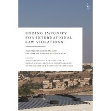 (英文圖書) Ending Impunity for International Law Violations: Palestinian Bedouins and the... 精裝版, Hart Publishing, 英文