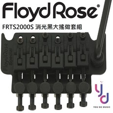 Floyd Rose Special Tremolo 銀色 金色 黑色 上枕 大搖座 套裝 總成 雙搖 電吉他配件, 銀色, 金色, 黑色, 消光黑色