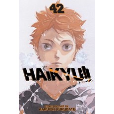 (英文圖書) Haikyu!! Vol. 42 Volume 42 平裝版, Viz Media, 英文