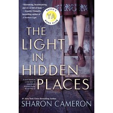 The Light in Hidden Places 平裝版, Scholastic Inc., 英文