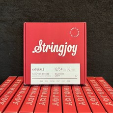 STRINGJOY SIGNATURES, 磷青銅 SJ-NB1254 12-54