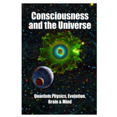 意識與宇宙：量子物理、進化、大腦與心智 2017 外文書籍，探索意識的奧秘, SciencePublishers