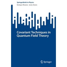 (英文圖書) Covariant Techniques in Quantum Field Theory 平裝版, Springer, 英文