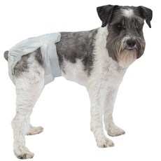 POOCH PAD 寵物狗用尿布, 12件, 小型, 1個