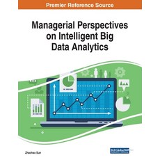 Managerial Perspectives on Intelligent Big Data Analytics 平裝版, Engineering Science Reference, 英文