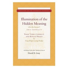 Illumination of the Hidden Meaning Vol. 2 2: Yogic Vows Conduct and Ritual Praxis 精裝版, Wisdom Publications, 英文