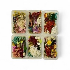 永生花乾燥花綜合花盒，多種色彩搭配，手工藝創作材料，居家裝飾花材, Mixed Colors