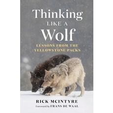 (英文圖書) Thinking Like a Wolf: Lessons from the Yellowstone Packs 精裝版, Greystone Books, 英文