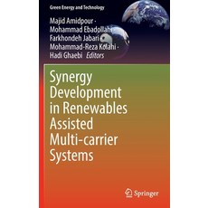 (英文圖書) Synergy Development in Renewables Assisted Multi-carrier Systems 精裝版, Springer, 英文