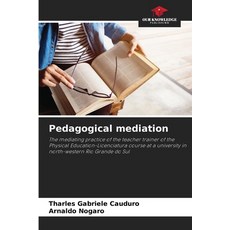 (英文圖書) Pedagogical mediation 平裝版, Our Knowledge Publishing, 英文