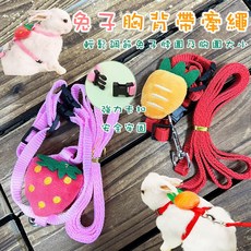 兔子牽引繩 兔兔胸背帶 防咬掙脫鍊 寵物溜兔繩 天竺鼠寵物工字帶 造型胸背帶, 詳見包裝, 詳見包裝, 兔子胸背帶 S號（水果款)