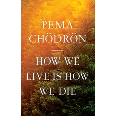 (英文圖書) How We Live Is How We Die 平裝版, Shambhala, 英文