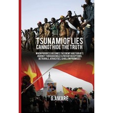 (英文圖書) A Tsunami of Lies Cannot Hide the Truth 平裝版, Gidey Amare, 英文