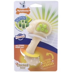 Nylabone 雞肉口味造型寵物狗潔牙玩具, 1個, 白+綠