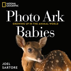 (英文圖書) National Geographic Photo Ark Babies: Growing Up in the Animal World 精裝版, National Geographic Society, 英文