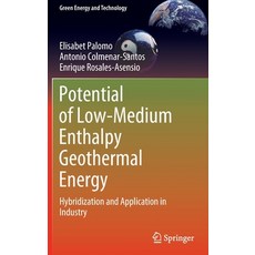 (英文圖書) Potential of Low-Medium Enthalpy Geothermal Energy: Hybridization and Application in Industry 精裝版, Springer, 英文