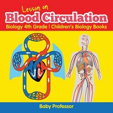 (英文圖書)Lesson on Blood Circulation - Biology 4th Grade Children's Biology Books 平裝版, Baby Professor, 英文
