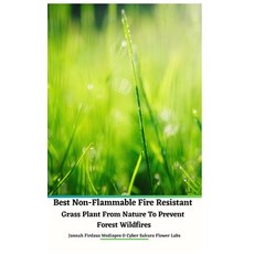 (英文圖書) Best Non-Flammable Fire Resistant Grass Plant From Nature to Prevent Forest Wildfires Hardcov... 精裝版, Blurb, 英文