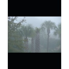 EWE for the New Diaspora: A Quick Guide to the Names 平裝版, Independently Published, 英文