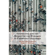 Innovating for the Middle of the Pyramid in Emerging Countries 精裝版, Cambridge University Press, 英語