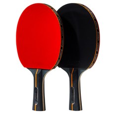 Franklin 專業碳芯乒乓球拍+球套