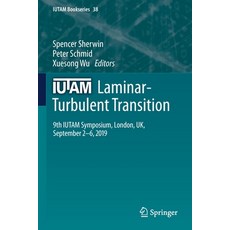 (英文圖書) IUTAM Laminar-Turbulent Transition: 9th IUTAM Symposium London UK September 2-6 2019 平裝版, Springer, 英文