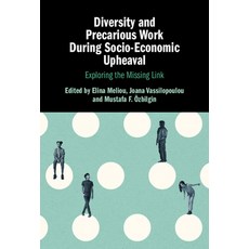 (英文圖書) Diversity and Precarious Work During Socio-Economic Upheaval 精裝版, Cambridge University Press, 英文