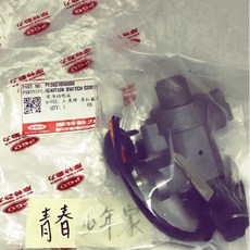 PGO 原廠 電源鎖, PE5520050000