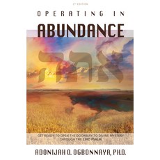 (英文圖書) Operating in Abundance 平裝版, As He Is T/A Seraph Creative, 英文