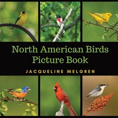 (英文圖書) North American Birds Picture Book: Dementia Activities for Seniors (30 Premium Pictures on 70... 平裝版, Adisan Publishing AB, 英文