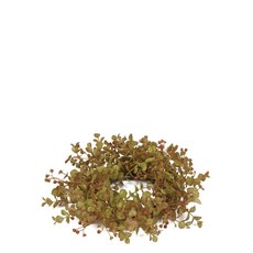 Sullivans 蘇利文桉樹 Rheth, 混色