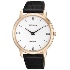 CITIZEN星辰 Eco-Drive 光動能紳士薄型手錶 AR1133-23A