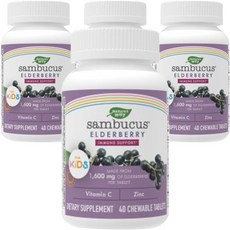 Nature's Way 然萃維 孩童接骨木莓維他命複合錠, 40顆, 4罐