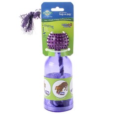 PetSafe 寵物嗅覺玩具 XS號, 1個, 紫色的