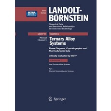 (英文圖書) Selected Semiconductor Systems 精裝版, Springer, 英文