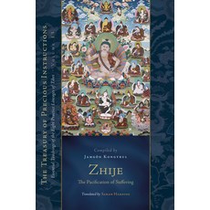 (英文圖書) Zhije: The Pacification of Suffering: Essential Teachings of the Eight Practice Lineages of T... 精裝版, Snow Lion Publications, 英文