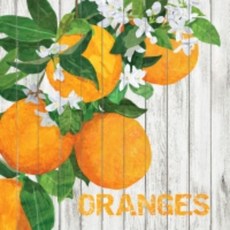 斑馬麥麥 餐巾紙 蝶古巴特拼貼材料