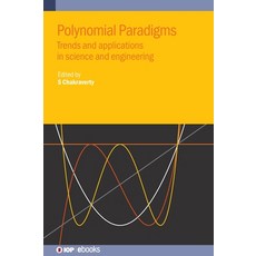 (英文圖書) Polynomial Paradigms 精裝版, IOP Publishing Ltd, 英文