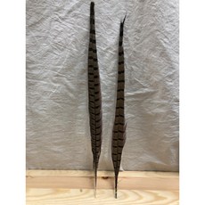 雉雞羽毛 / 山雞毛 / 羽毛材料 / 原住民材料 / 帝雉雞毛 / 帝雉 / DIY材料 / 雉雞 / 野雞, 詳見包裝, 詳見包裝, 短雉雞