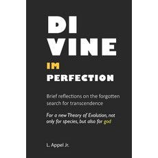 DIVINE IMPERFECTION Brief reflections on the forgotten search for transcendence: For a new Theory of... 平裝版, Independently Published, 英文
