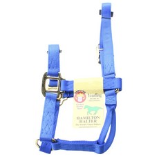 Hamilton Products 騎馬裝備 Jelling（僅限 150-225 公斤）, 1個, 藍色