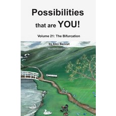 Possibilities that are YOU!: Volume 21: The Bifurcation 平裝版, Mqipress Conscious Look Books, 英文